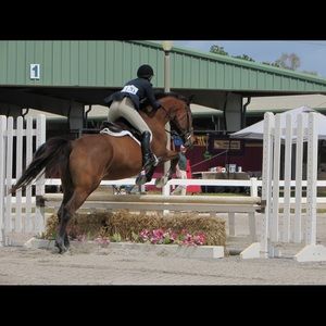 Meet your Posher, Brooke